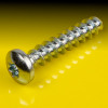 image of Torx Pan Thread Forming Screws for Plastics, 30 Degree Thread