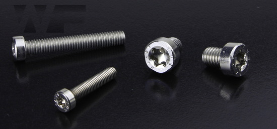 Torx Cap Screws With Low Head ISO 14580 or DIN 7984 in A2 image